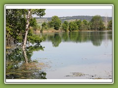 EsbacherSee-2011-1