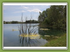 EsbacherSee-2011-12