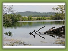 EsbacherSee-2011-2